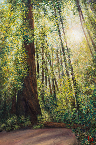 Henry Cowell Redwoods