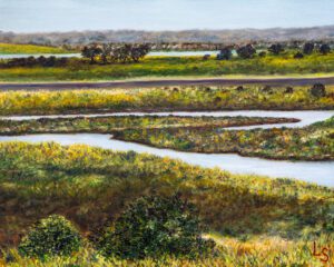 Coyote Hills