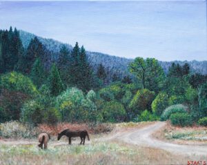 Horses in Felton