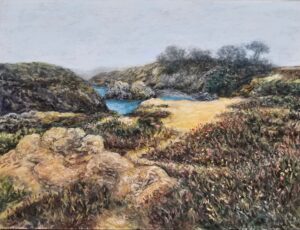 Bluffs at Mendocino Healands