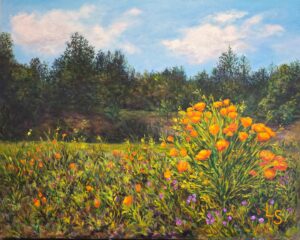 Poppies on Mount Hermon