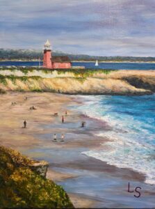Santa Cruz Beach Day