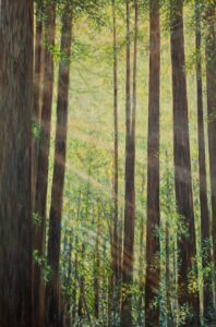 Forest Rays