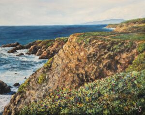 Bodega Bay